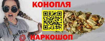 стафф Бердск