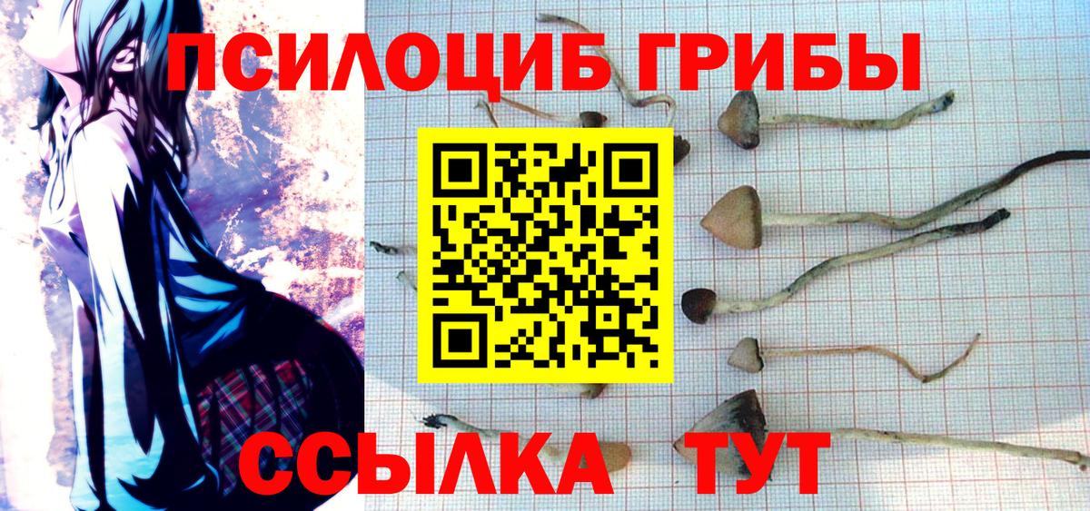 Псилоцибиновые грибы прущие грибы  Вход с VPN  Старая Купавна 